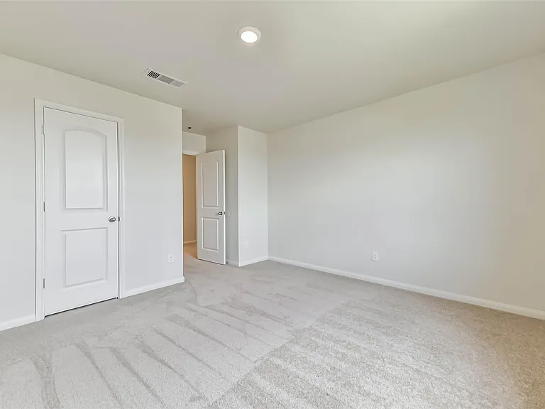 1123 Rare Fancy Dr — Photo 24