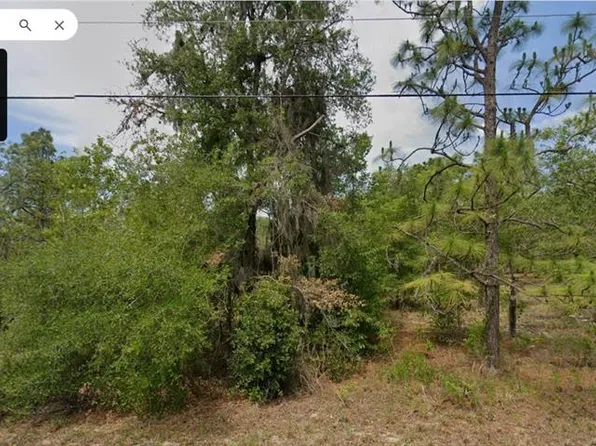11754 N Belluzzi Ter Lot 17, Dunnellon, FL 34433