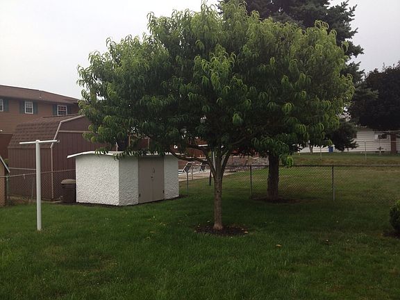 Fenced yard/stucco shed