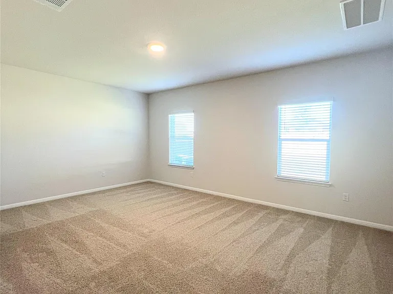 2409 Corriente Path — Photo 18