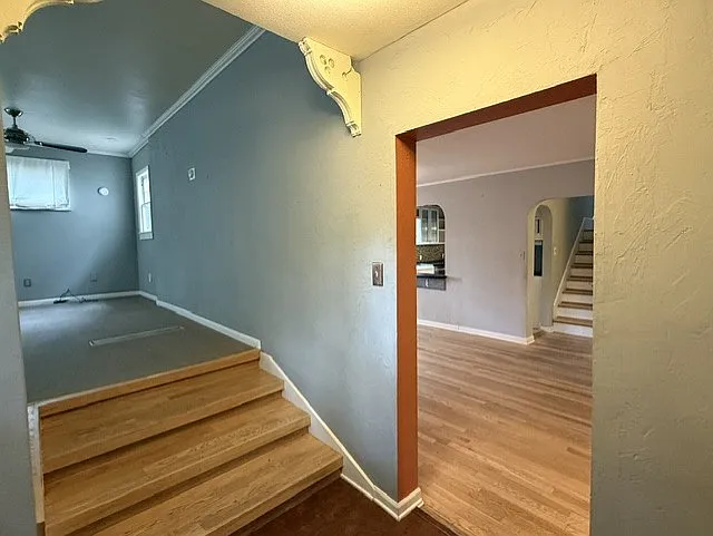 1226 W Prospect Rd — Photo 11