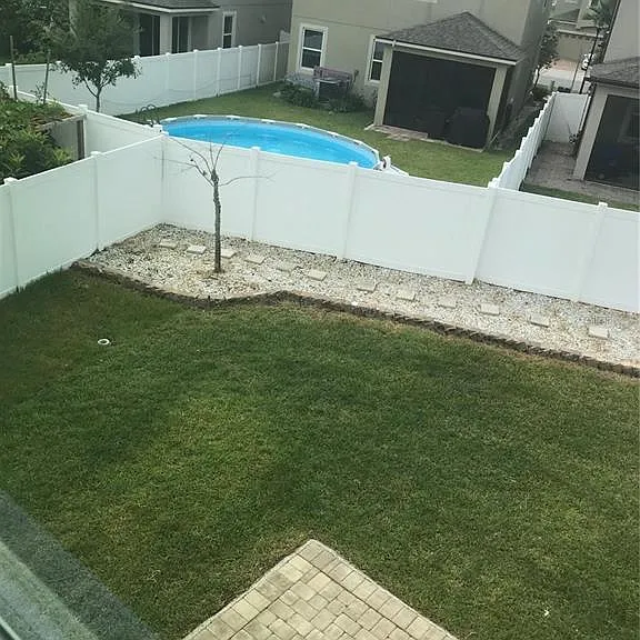 2504 Amati Dr — Photo 5