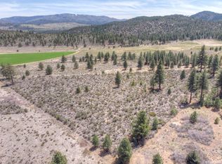 210 Lower Manzanita Dr, Markleeville, CA 96120