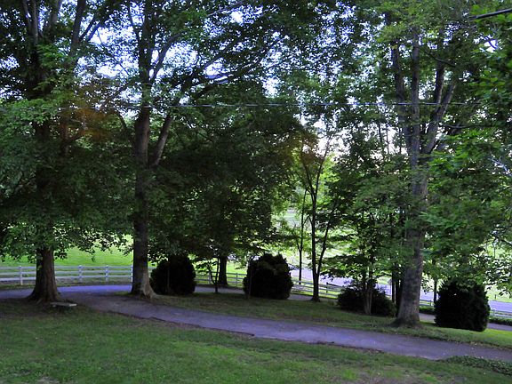 Yard view from house
