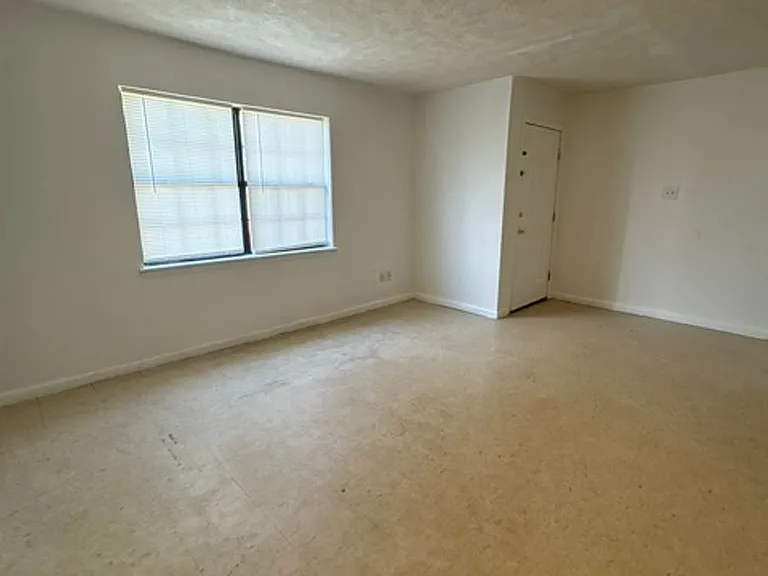 296 Homer Rd — Photo 6