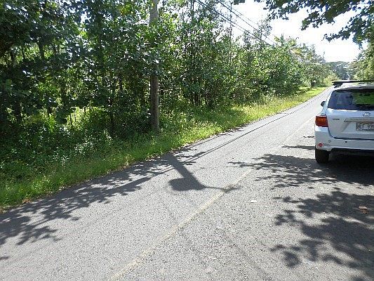 2nd image of 19th Ave