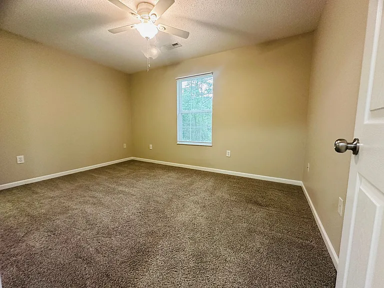 253 Dumplin Ln — Photo 12