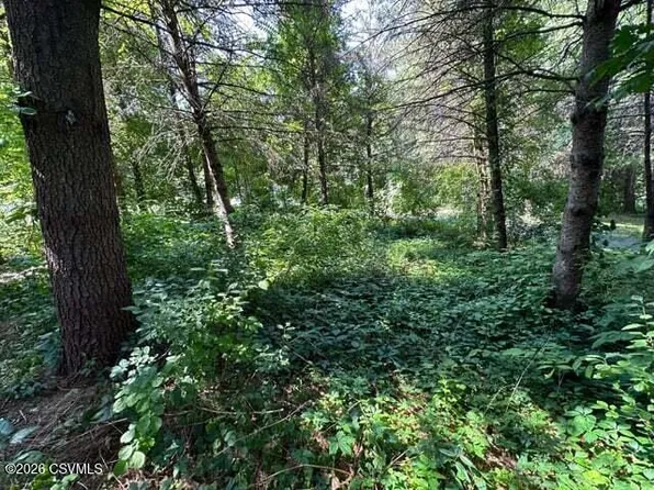 LOT 5 Payne Run Ln, Dushore, PA 18614