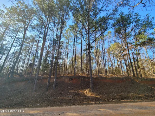 Fortune Trl, Walnut Grove, MS 39189