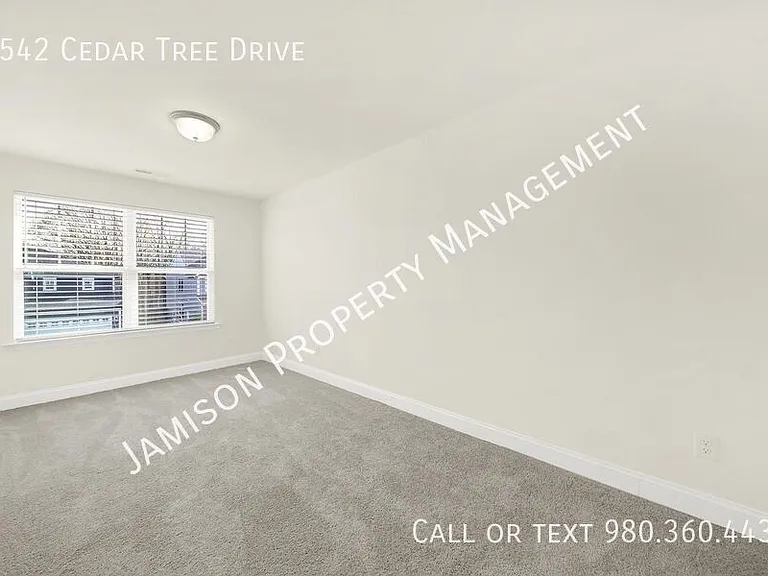 1542 Cedar Tree Dr — Photo 13