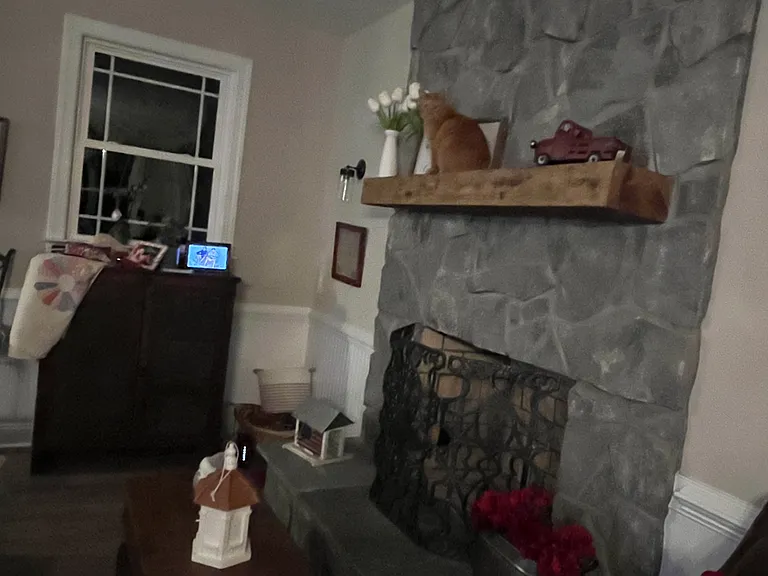 The cat loves to perch on the fireplace mantel. __