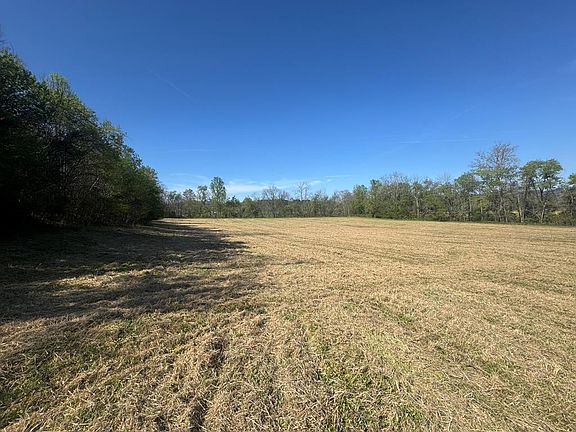 4th image of 37 Jarrett Rd