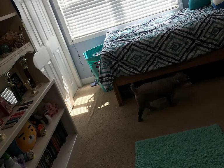 Additional angle of upstairs corner bedroom showing double sliding closet (in all 3 upstairs bedrooms) plus windows for a great view.