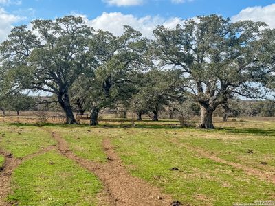 3113 Hannessee Rd, Yoakum, TX, 77995