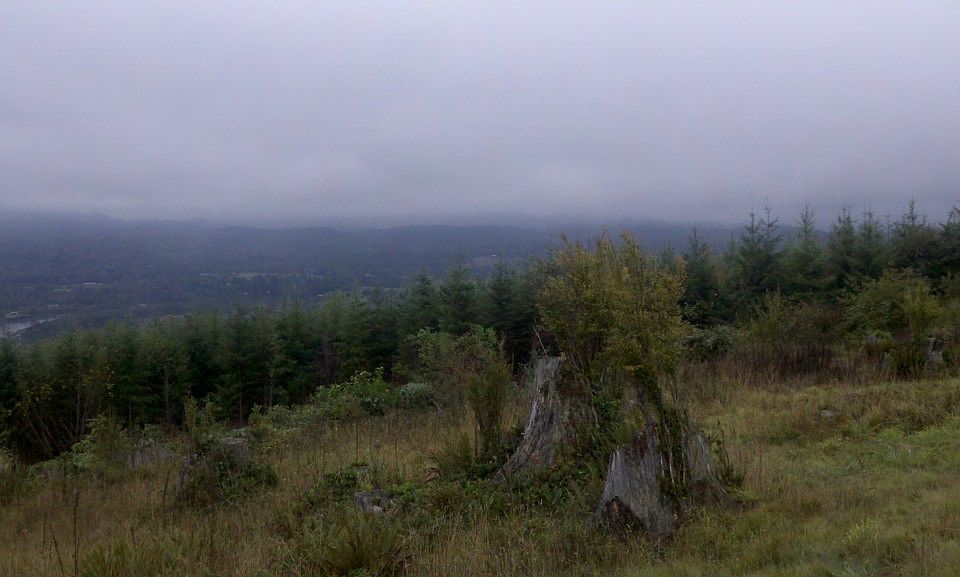 2nd image of 910 Lookout Rd