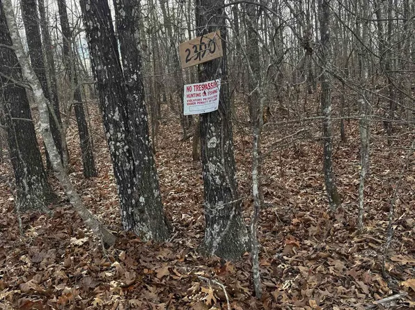 2390 Mc #2061, Yellville, AR 72687