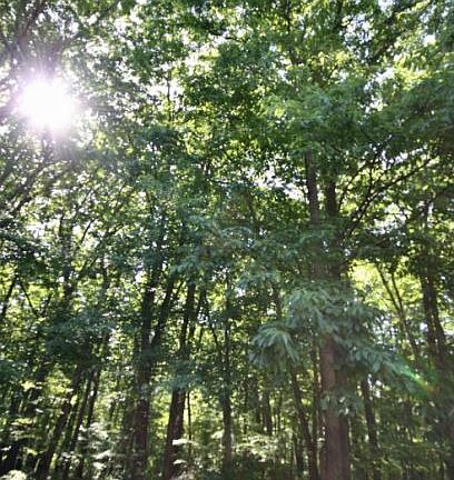 View from Front Door