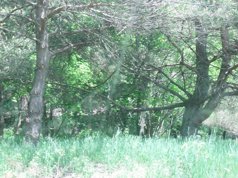 1st image of 2601 Iids Way