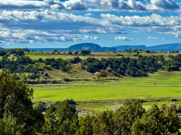 2153 Wrangler Way Lot 22, Durango, CO 81303