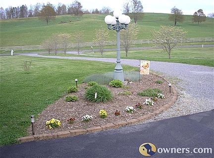 Flower garden