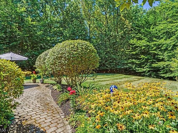 4th image of 1 Beresford Pl