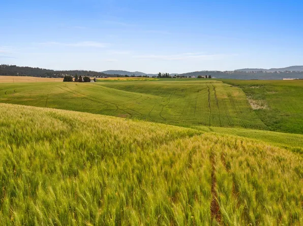 NKA N Bruce Rd Lot 3, Mead, WA 99021