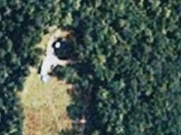 28 Tee Box Ln, Travelers Rest, SC 29690