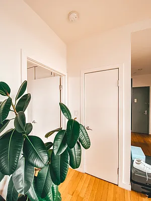 Rented by Owner | media 8