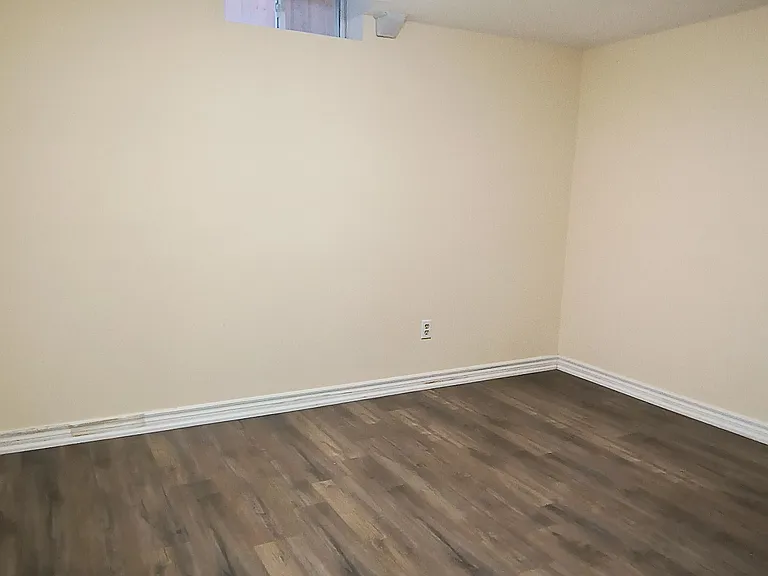 46 Blacktoft Dr #BASEMENT — Photo 4