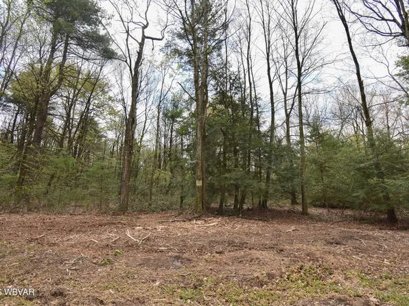 851 Wagmyr Ln, Loganton, PA 17747