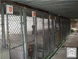 Kennel