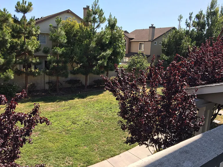 View from Deck