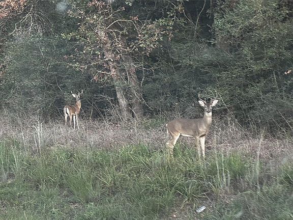 5th image of Overhill Cir