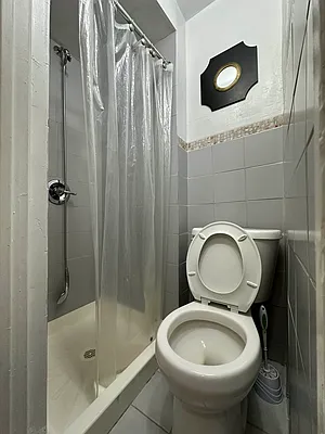 Rented by Green Home NY Realty LLC | media 11