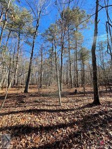 0 Browns Chapel Rd, Lexington, GA, 30648