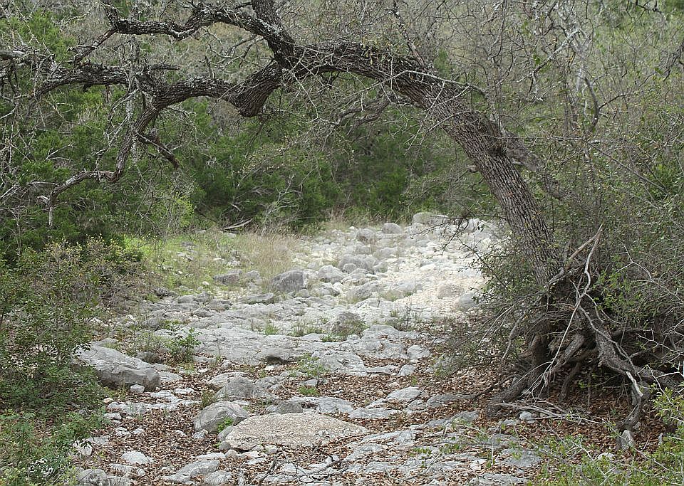 Creek bed