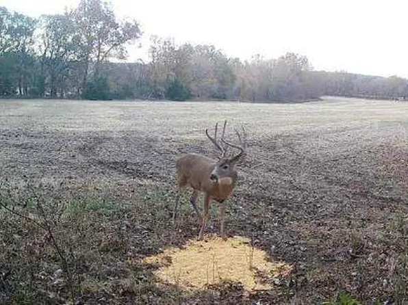 12998 Leasure Rd, Mound City, KS 66056