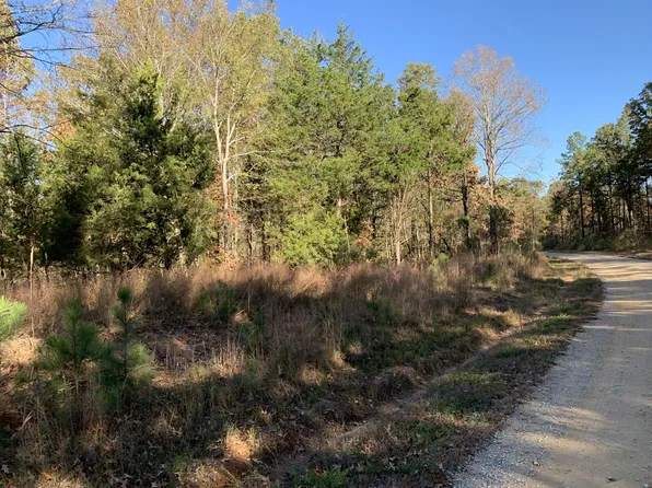 0 Nubbin Ridge Rd Lot 1, Middleton, TN 38052