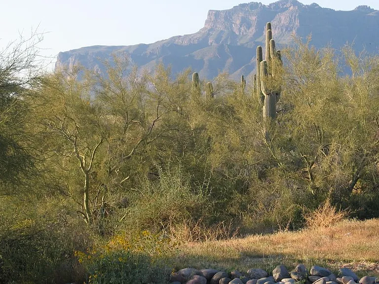 View of Superstition Mountain from Front of House