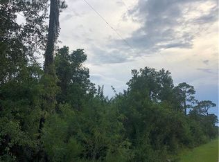 2650 N Warwick Rd, Avon Park, FL 33825