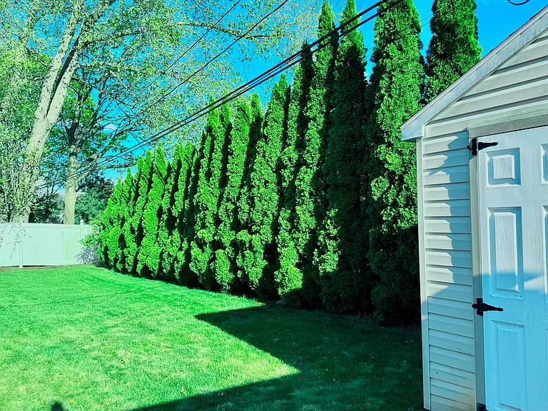 24 Sheldon Pl — Photo 25