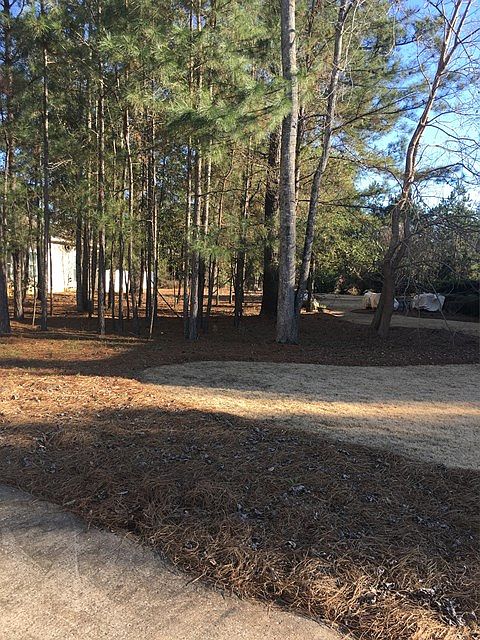 2nd image of 302 Conifer Ct