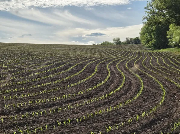 County Rd W, Hazel Green, WI 53811