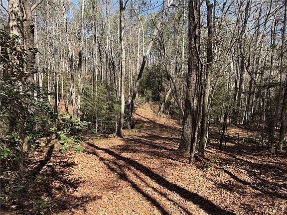 3rd image of 0 Golden Hickory Drive