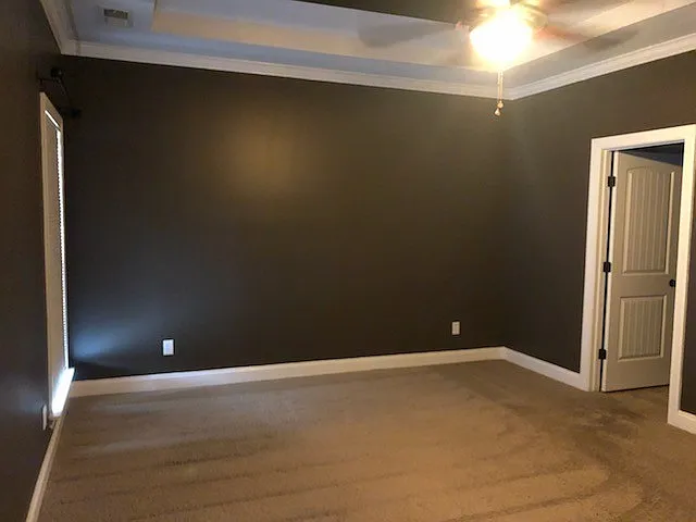 4117 Chelsea Wood Cv — Photo 13