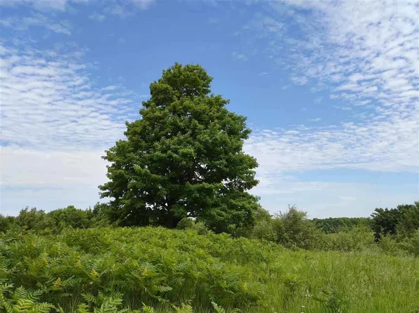 1675 Intertown Rd, Petoskey, MI 49770