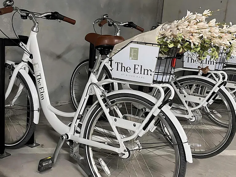 Indoor Community Bike Racks with Branded Bicycles at The Elm at River Park