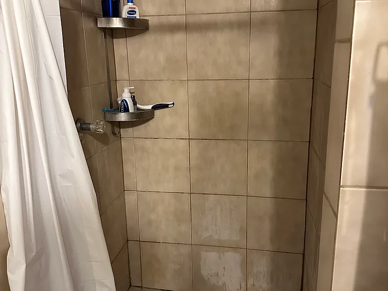 1516 N Greenview Ave #2R — Photo 19
