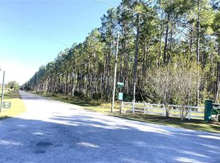 LOT 46 NW 73rd St LOT 46, Chiefland, FL 32626