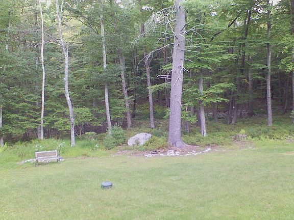 back yard